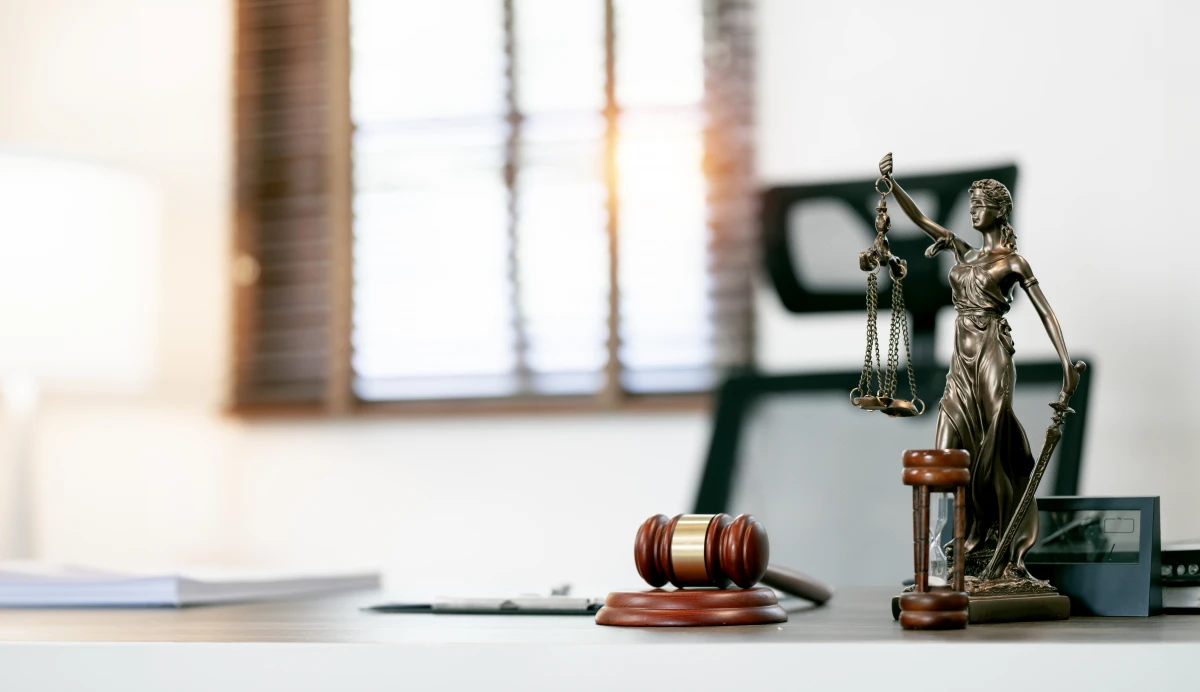 Droit des contrats publics : Appels d'offres et marchés publics