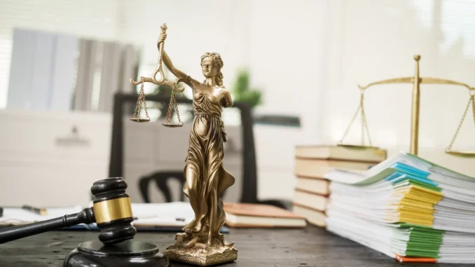 le-role-des-avocats-
